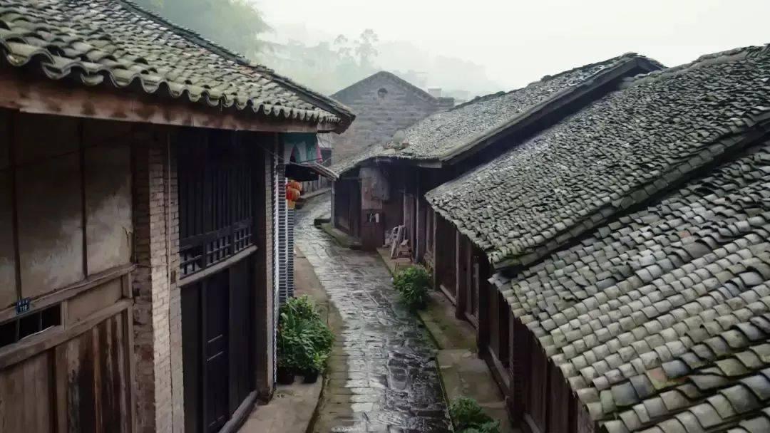 瑞德的冒险之旅中文版